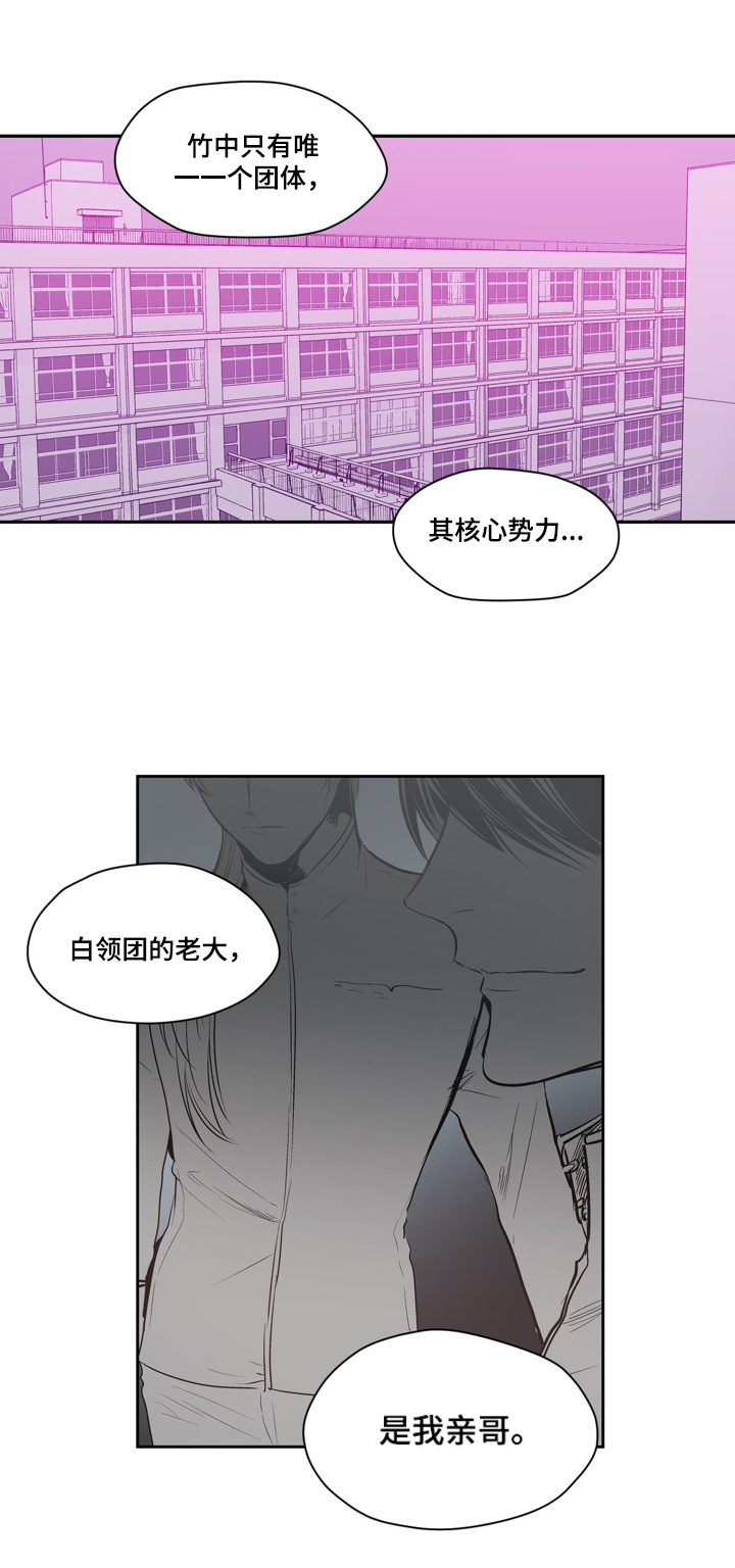第51章：局势分析2