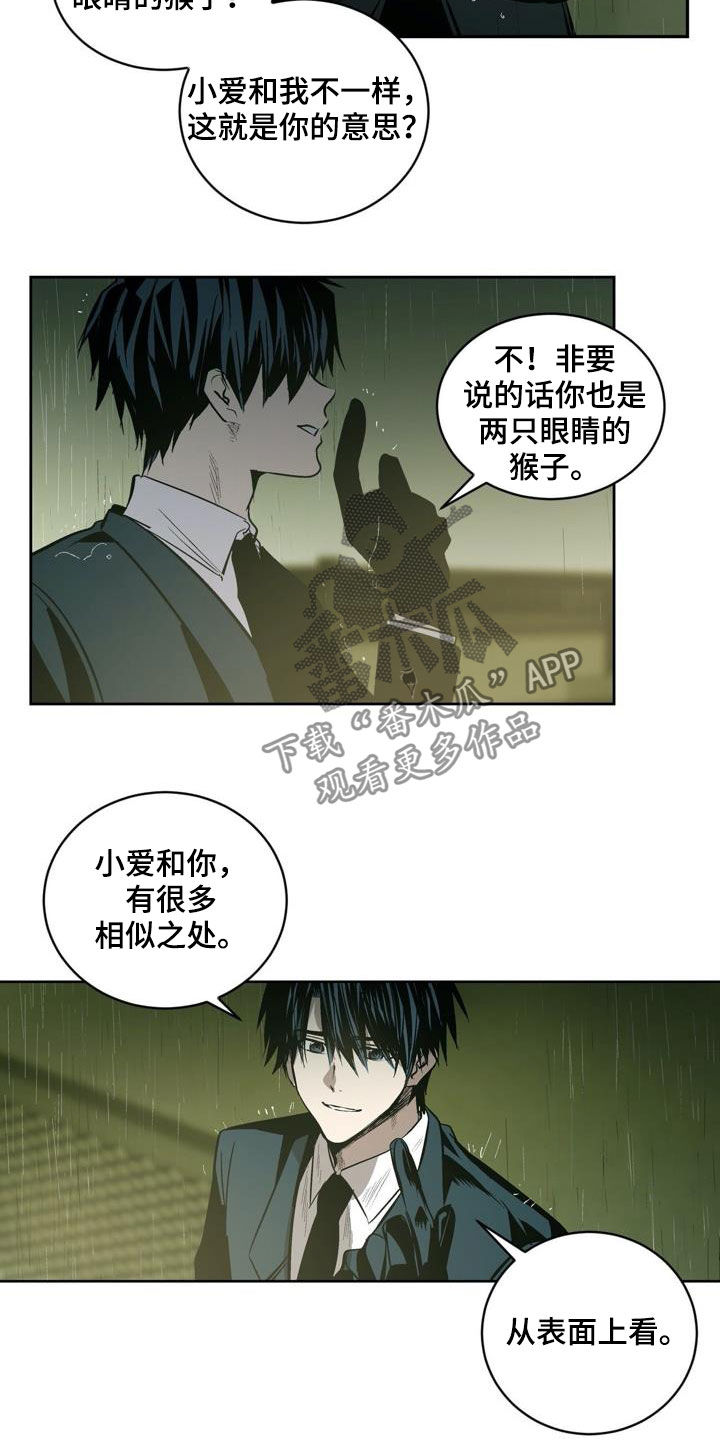 第106章：【第二季】猴子的故事8
