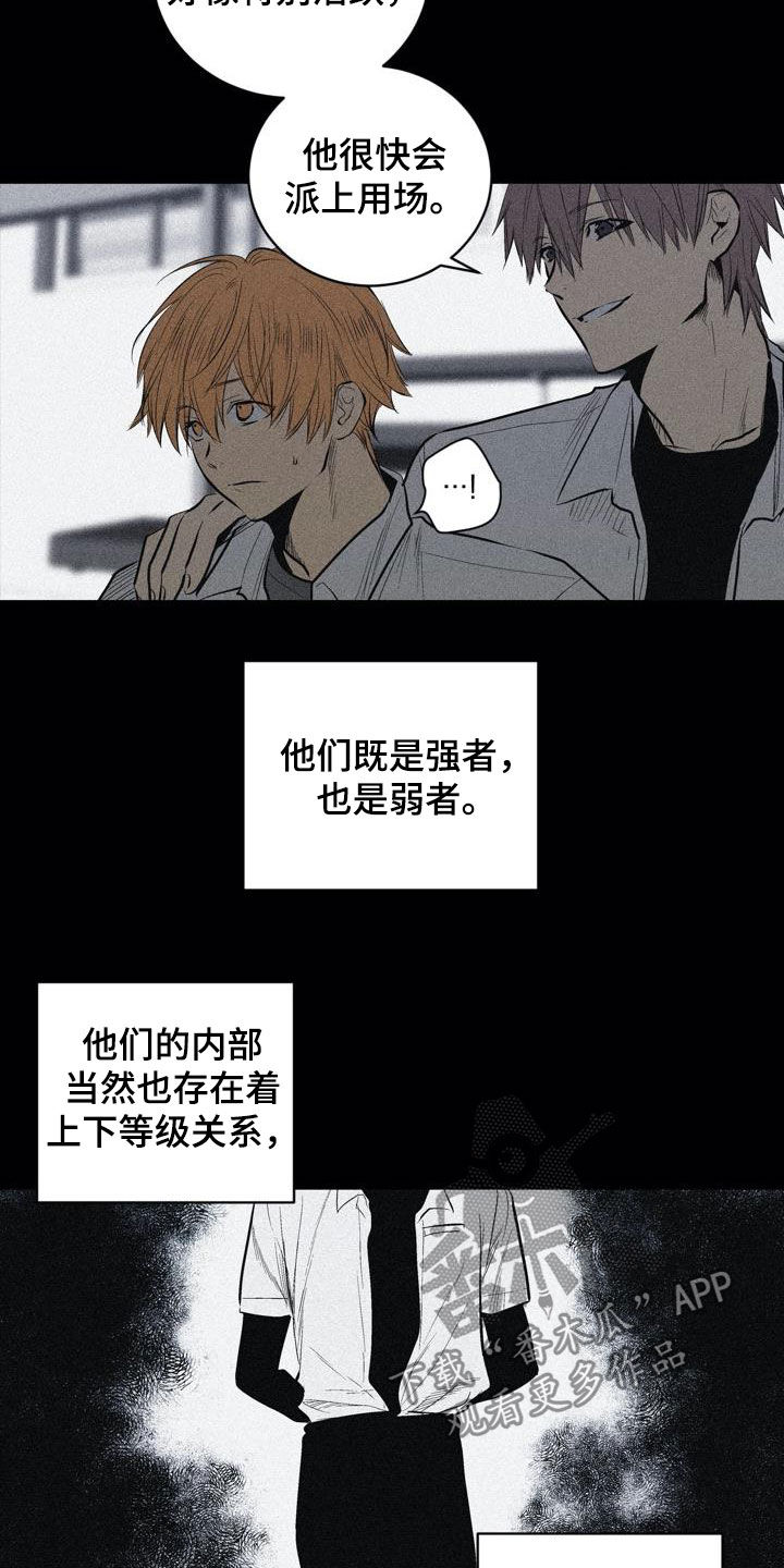 第104章：【第二季】上下等级5