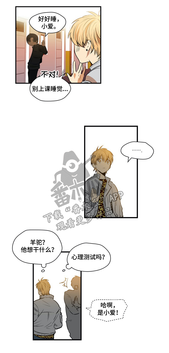 第16章：羊驼7