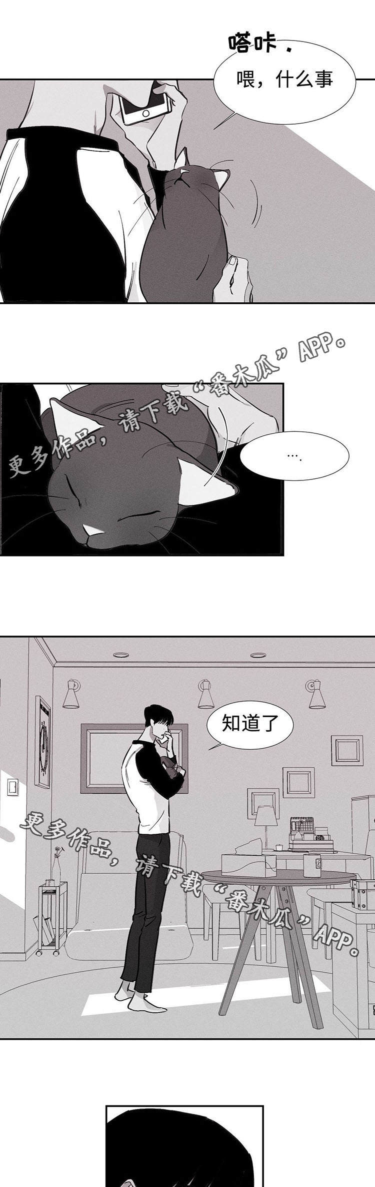 第5章：反抗12
