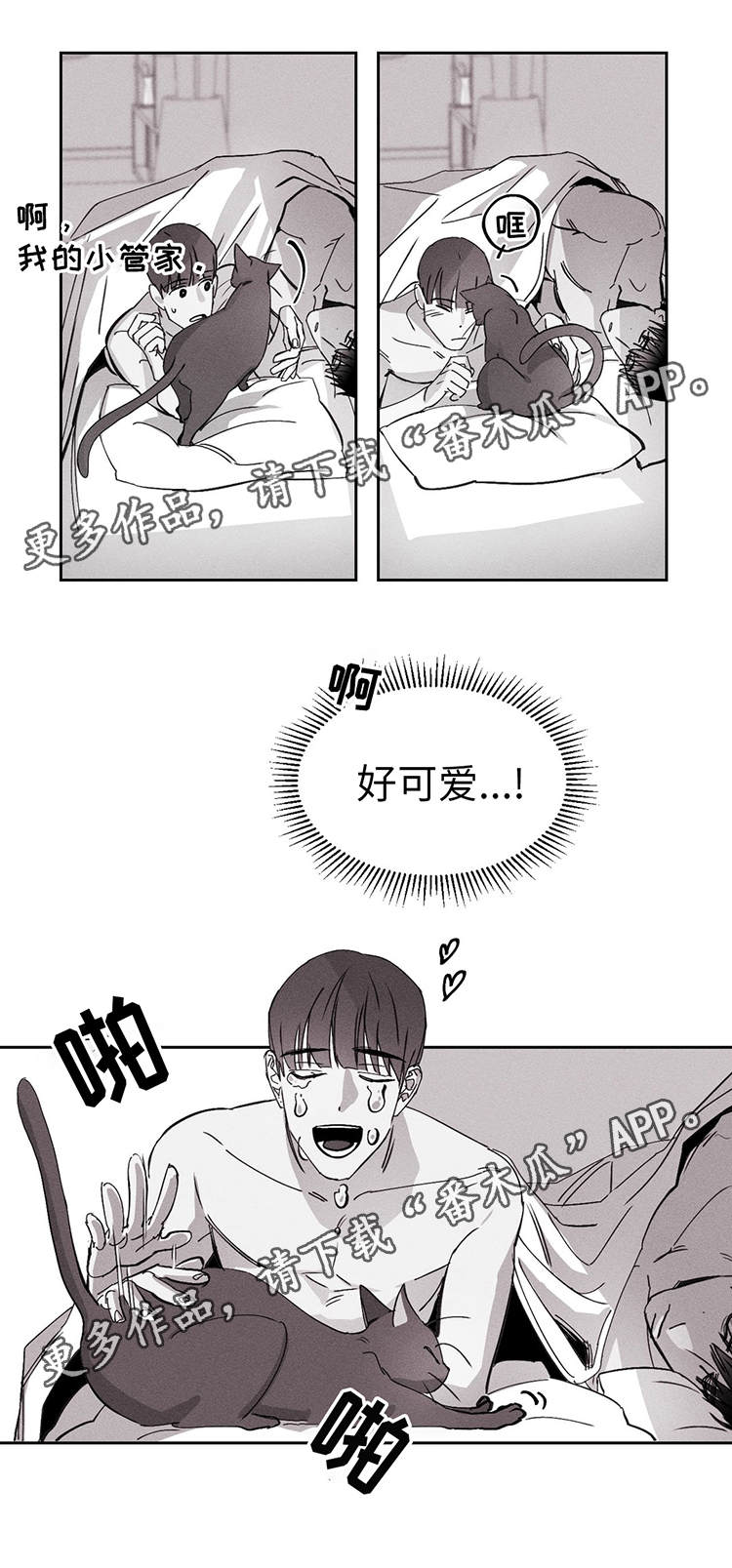 第13章：好可爱5