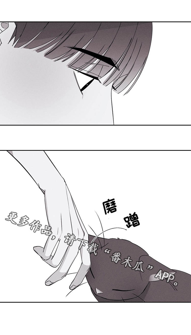 第21章：对不起17