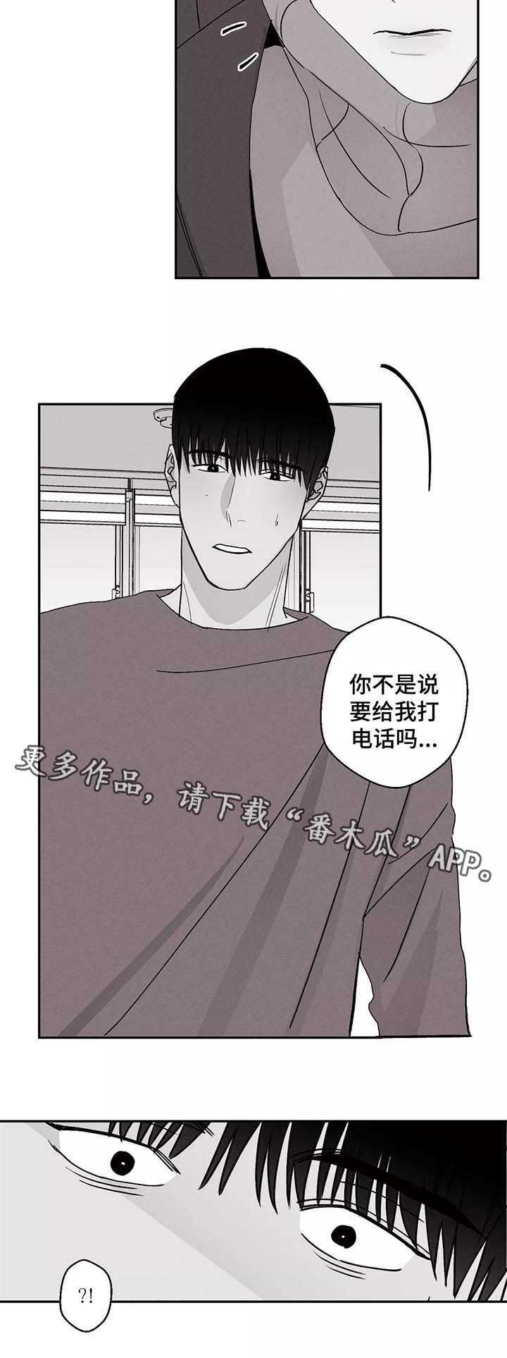 第41章：治愈的消息6