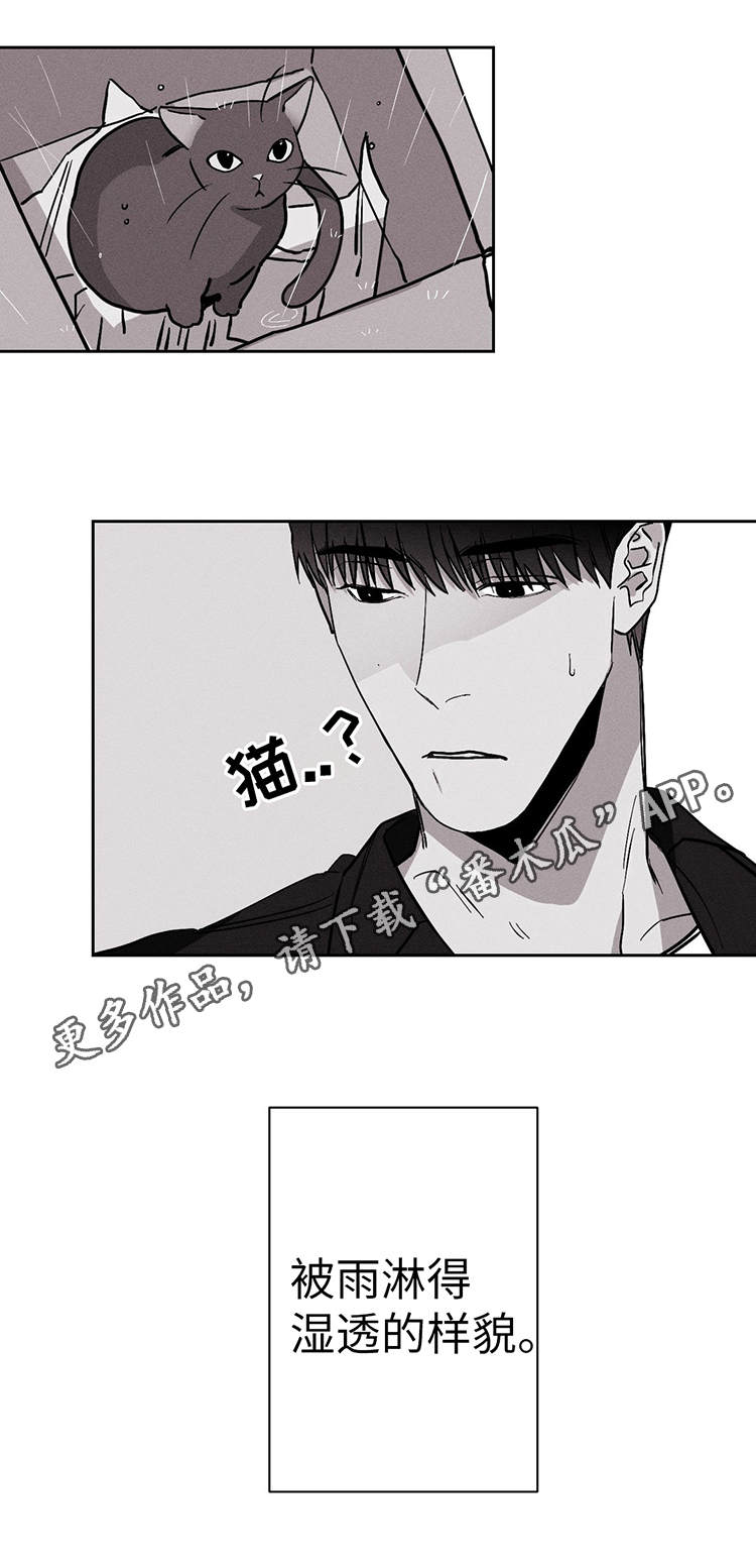 第19章：我不哭9