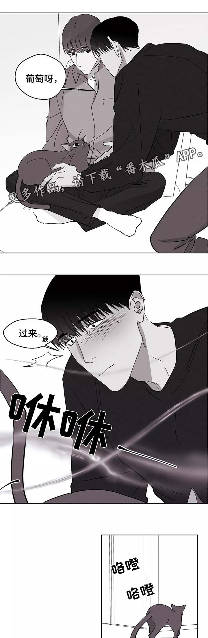 第38章：恋爱15