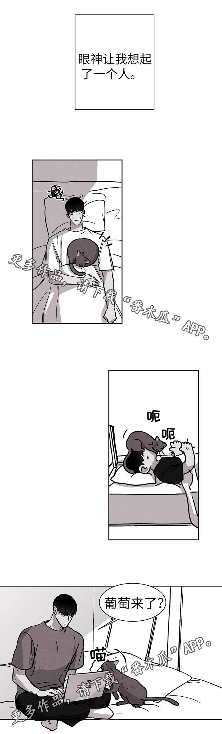 第19章：我不哭13