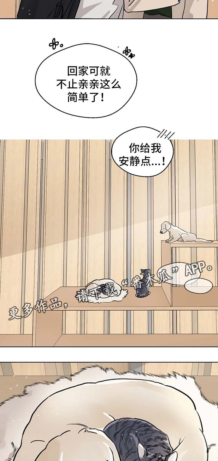 第51章：新的开始（完结）17