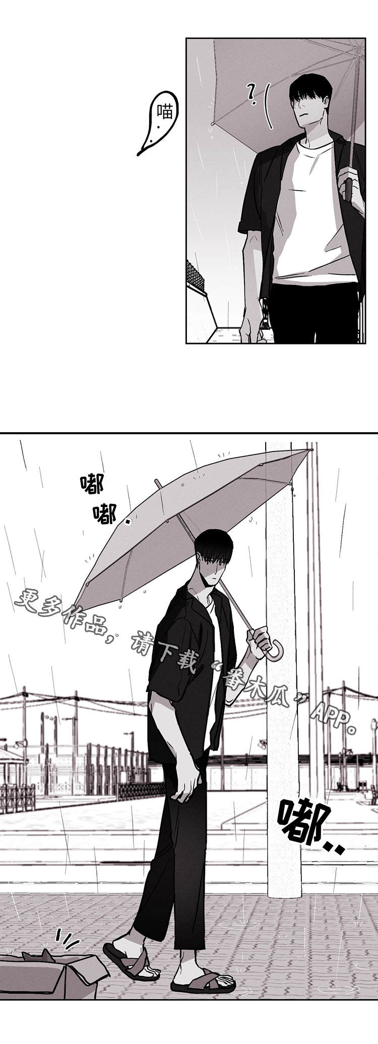 第19章：我不哭8