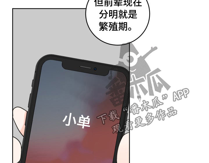 第43章：为什么4