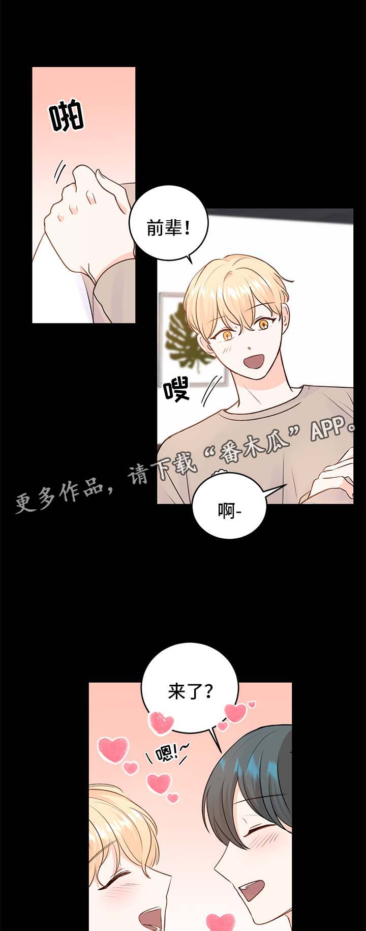 第24章：方案5