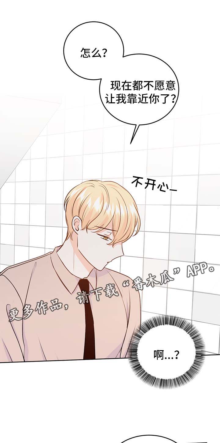 第24章：方案15