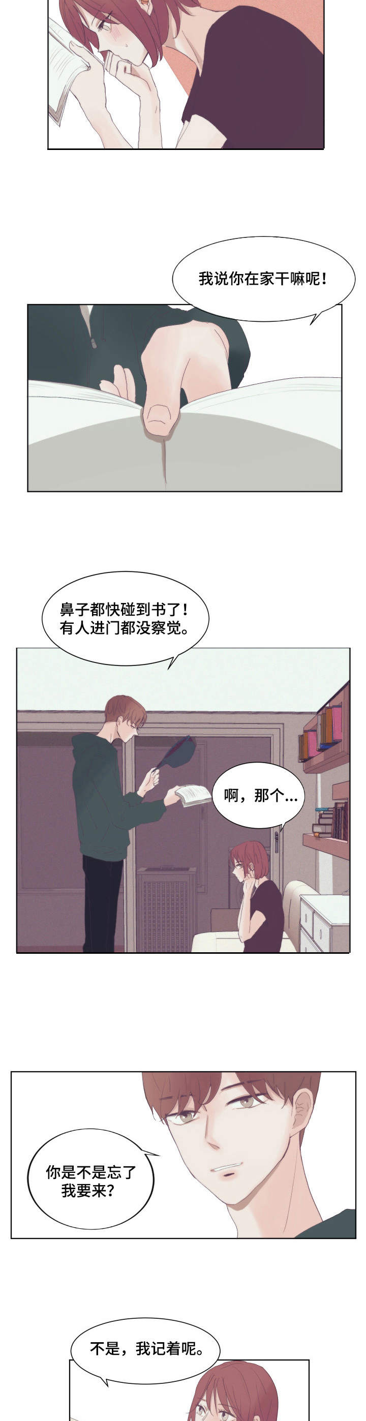 第2章：言情小说9
