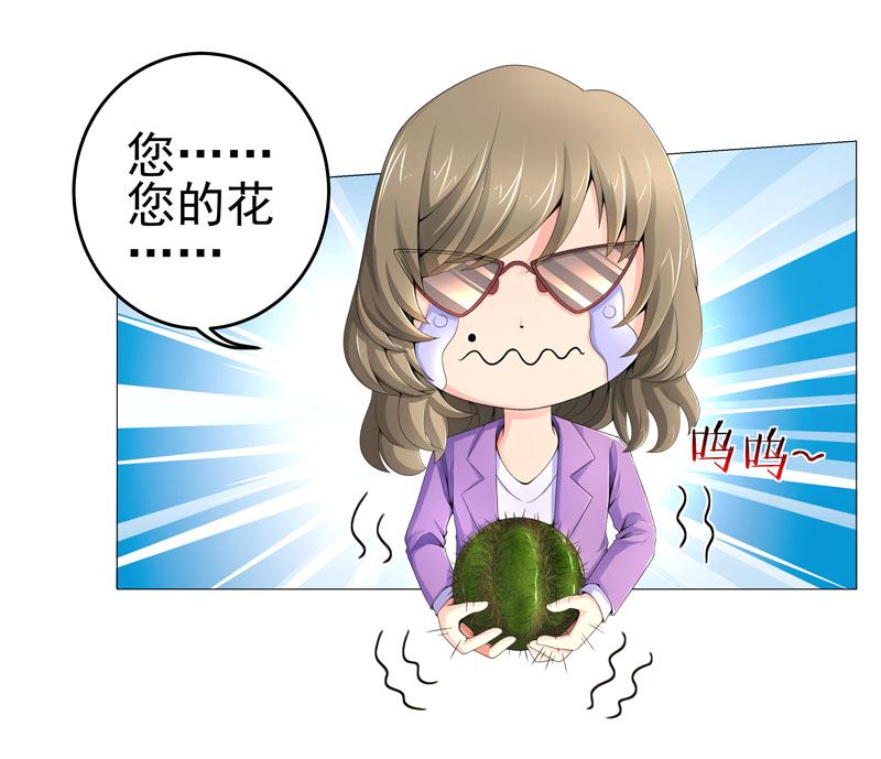 第17章：诱敌上门3