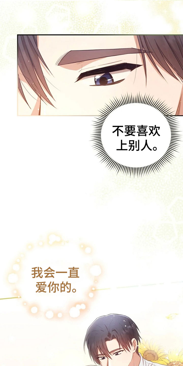 第29章：明年也会30