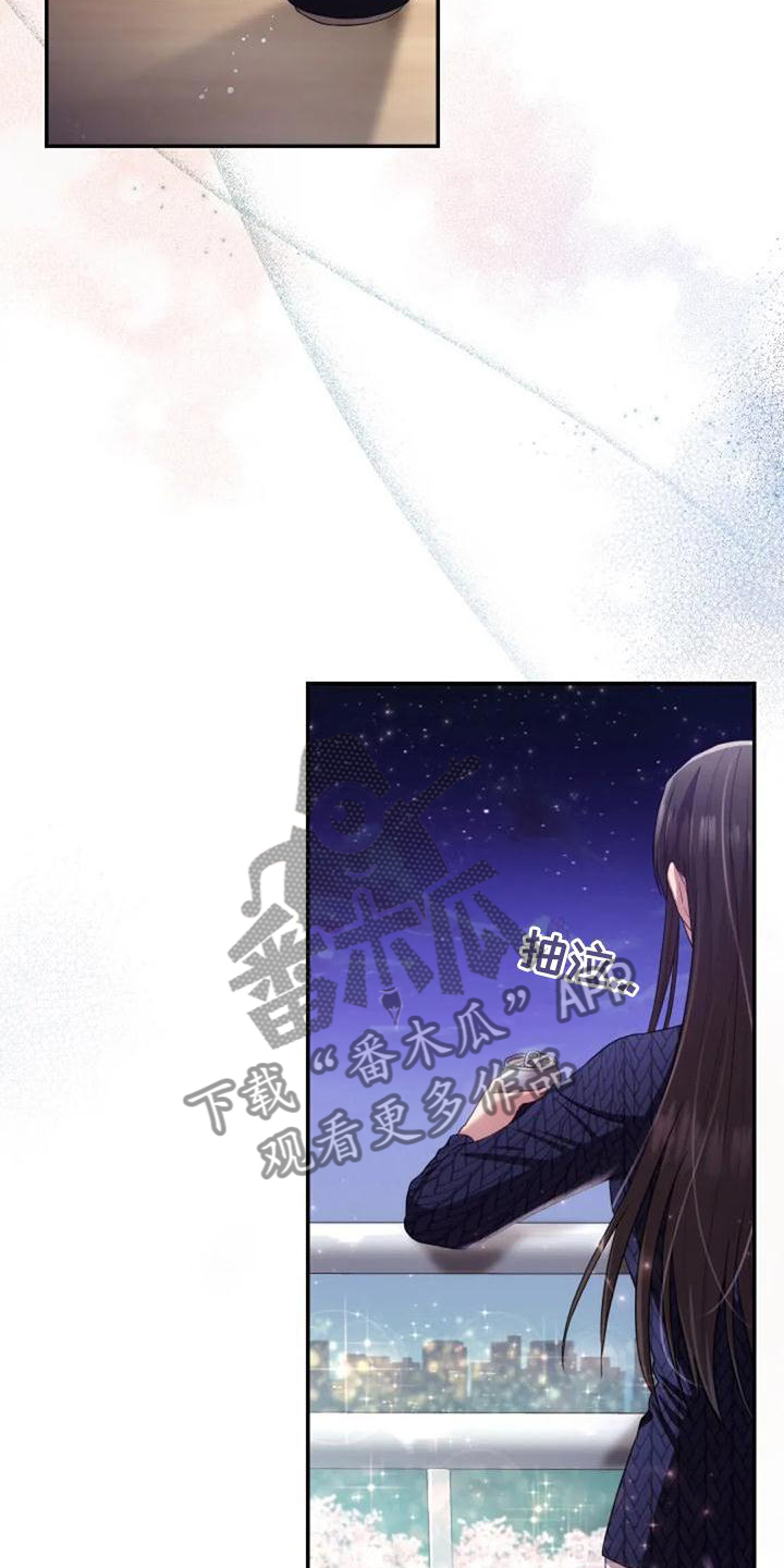 第46章：流星15