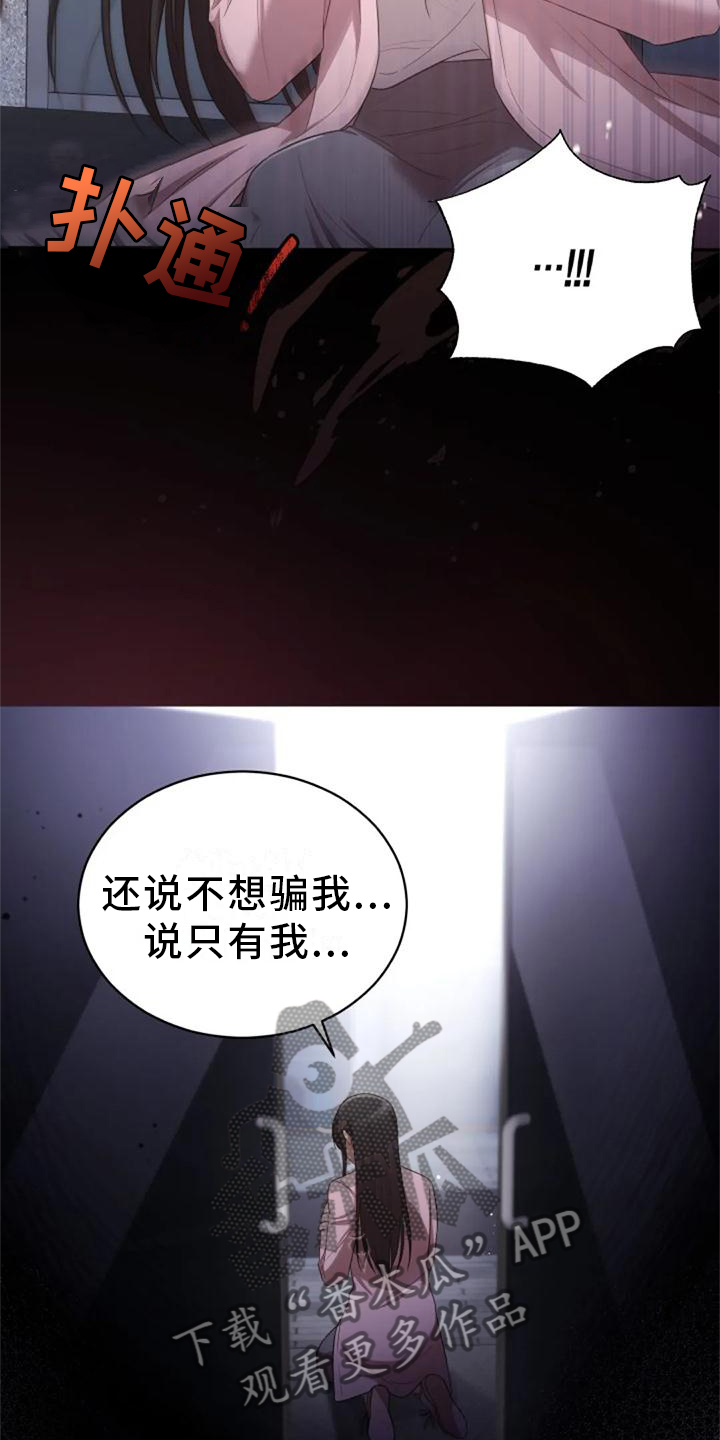 第41章：全都是骗人的17
