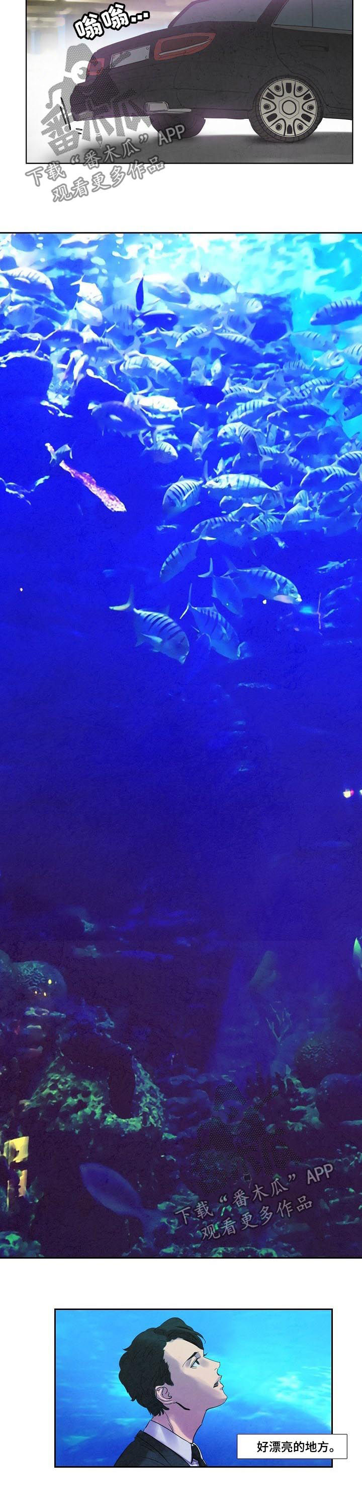 第54章：假海4