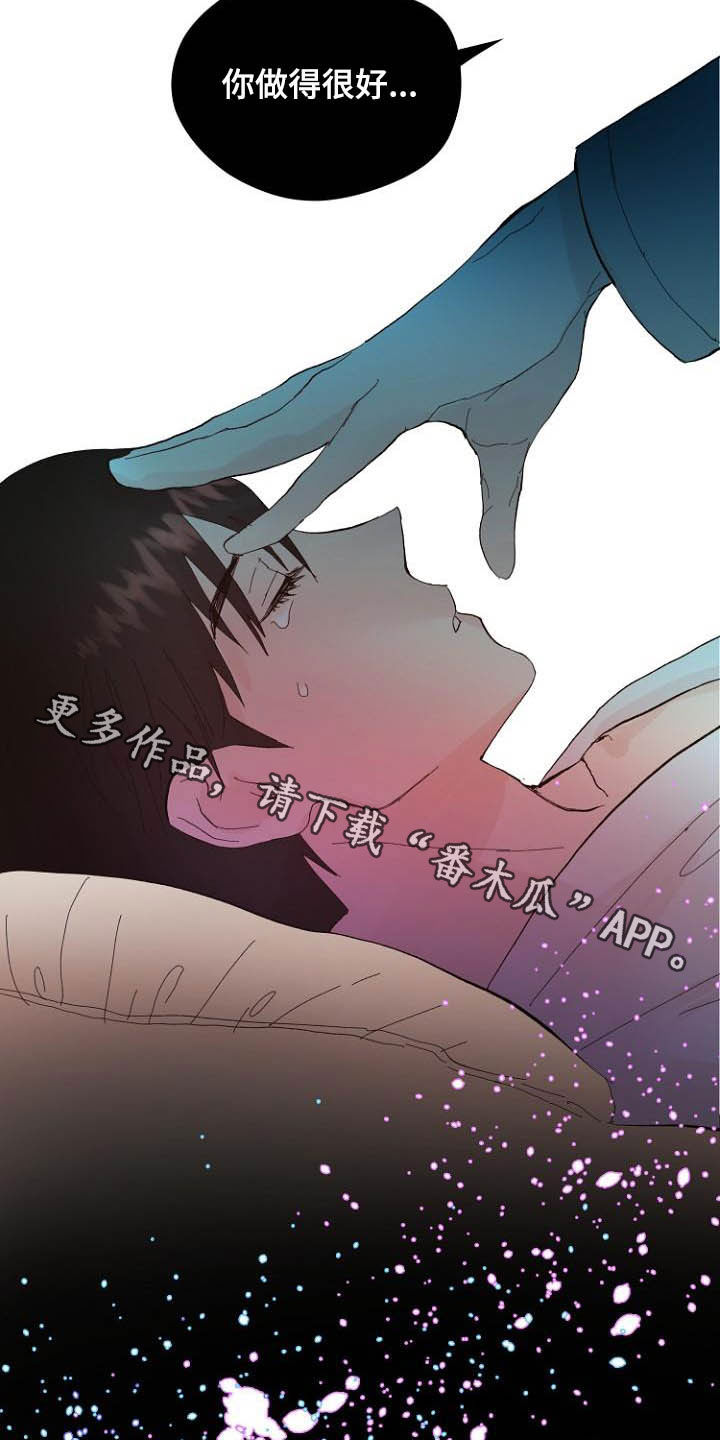 第16章：诚实面对22