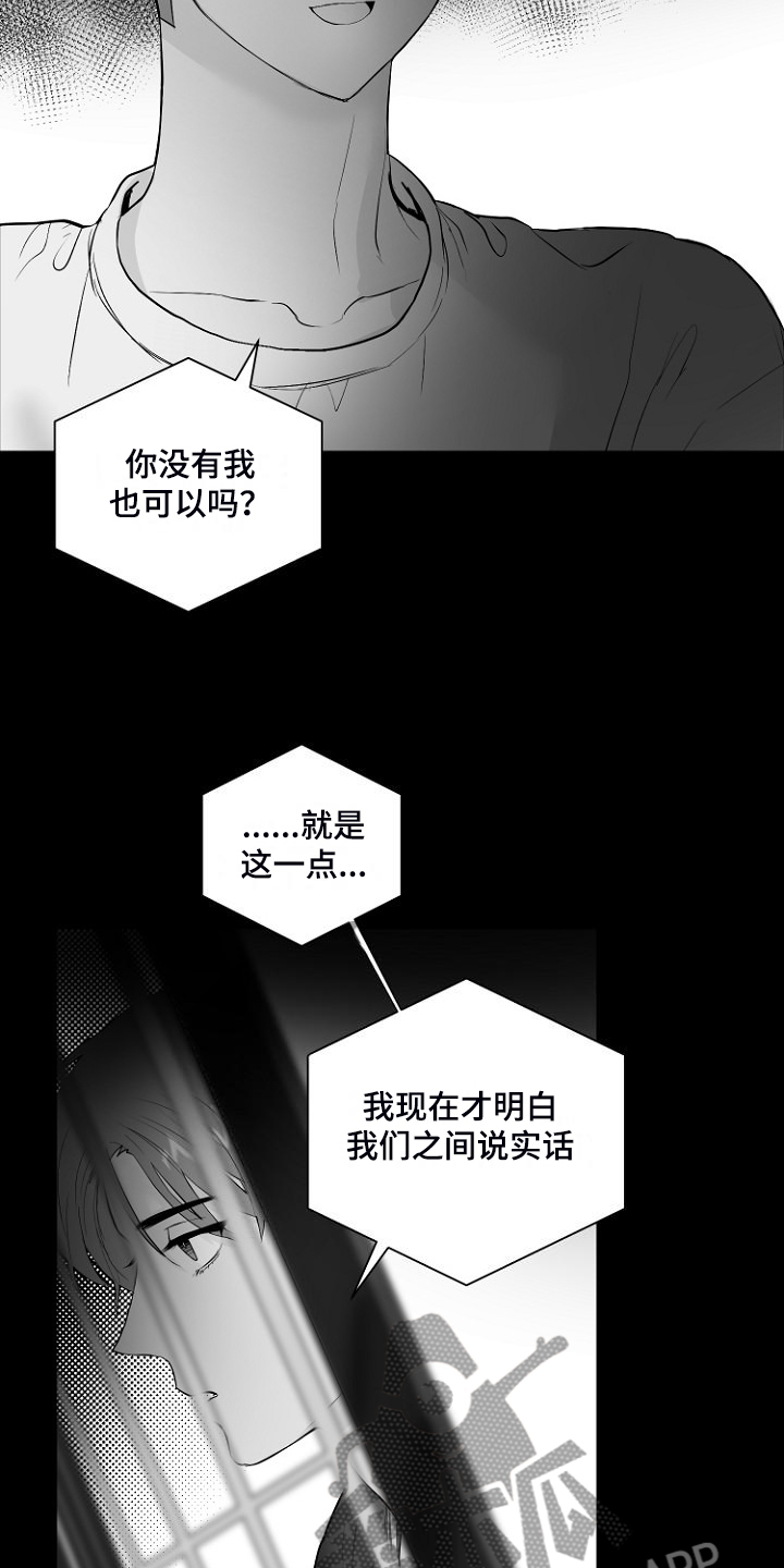 第30章：说实话19