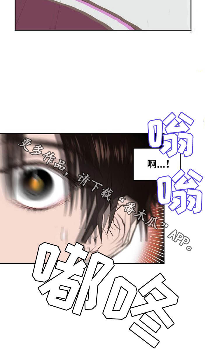 第11章：弃车保帅22