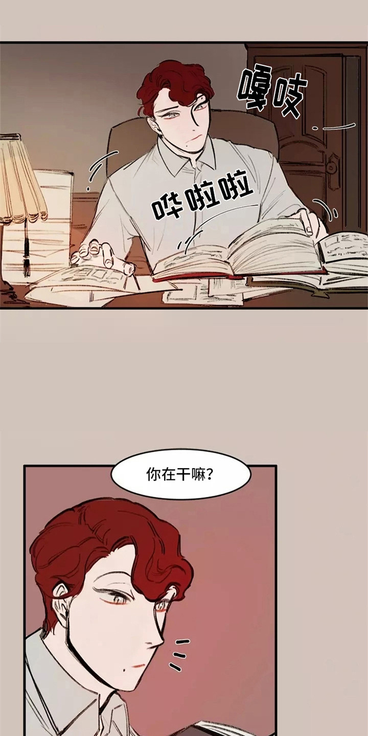 第17章：好奇12