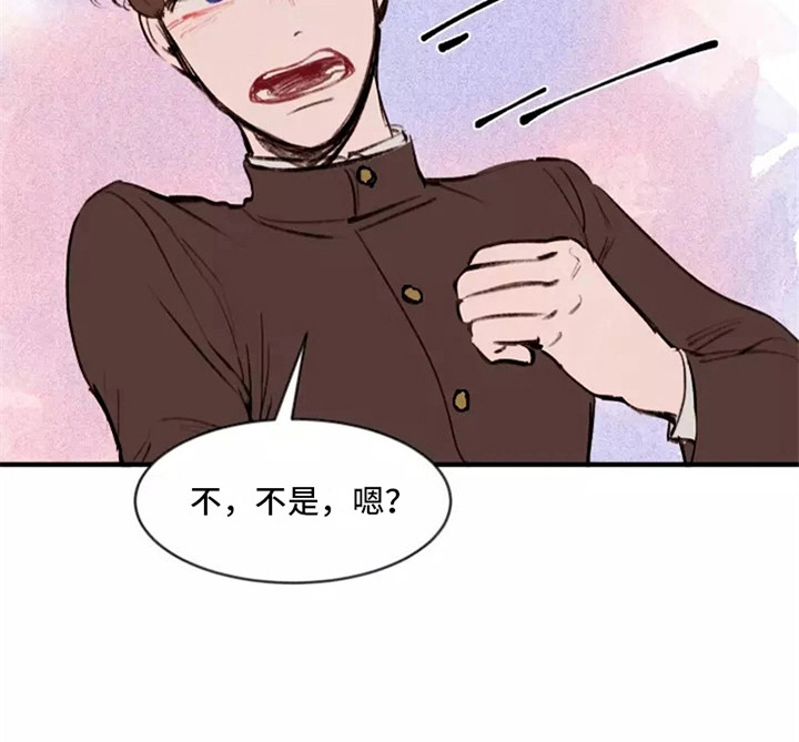 第22章：女人们14