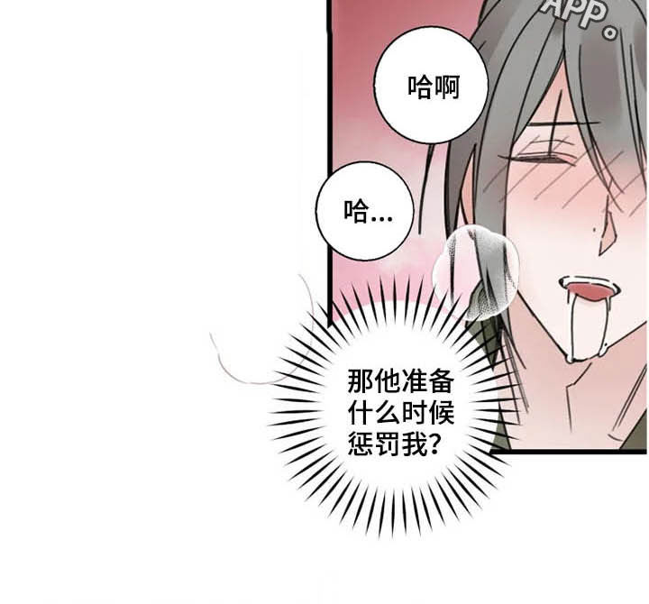 第33章：惩罚19