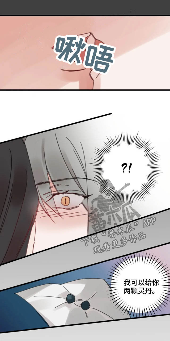第36章：灵丹13