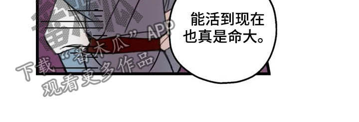 第31章：打击11