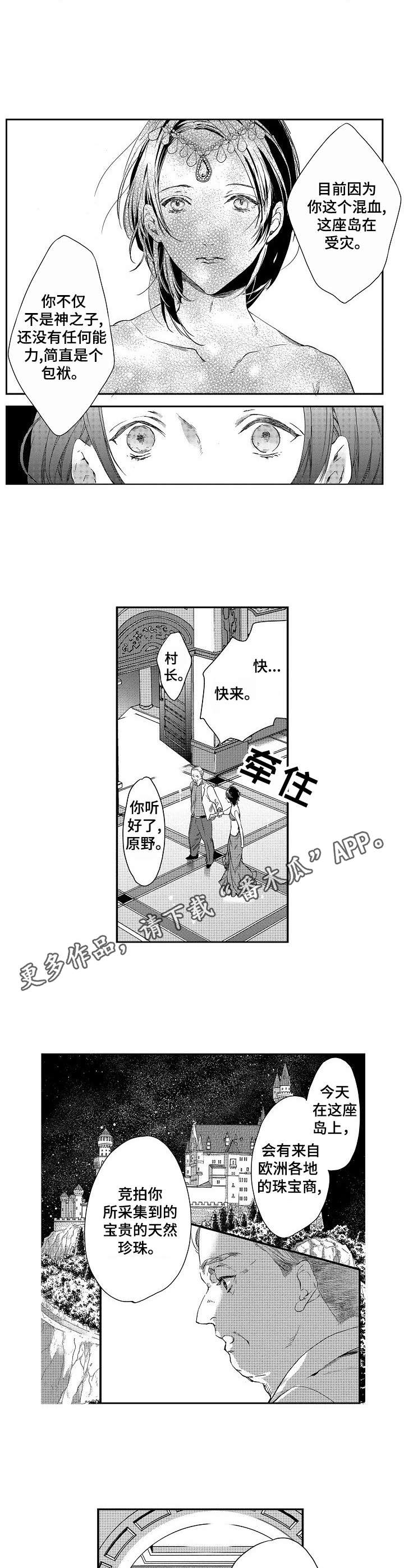 第5章：美貌5