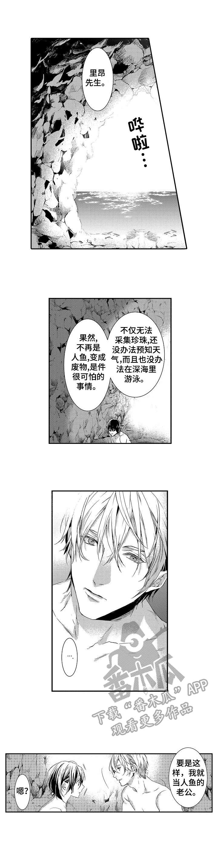 第24章：戒指5