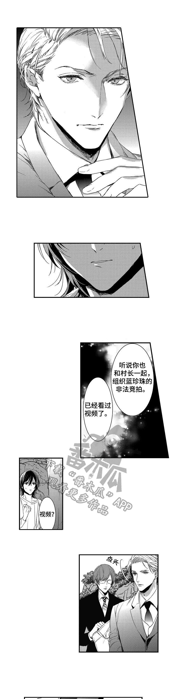 第13章：误解6