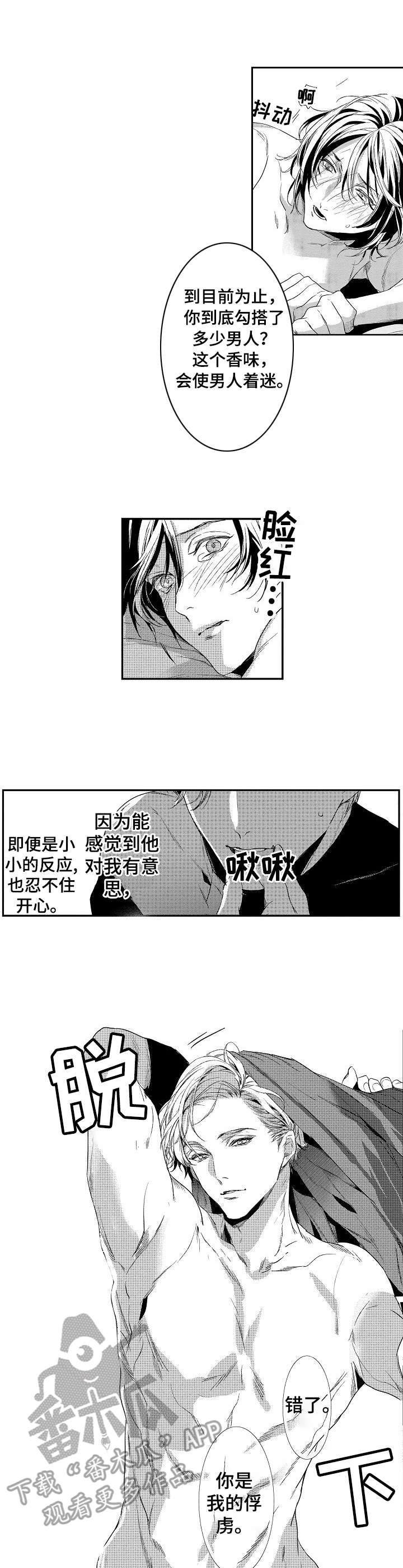 第18章：着迷8