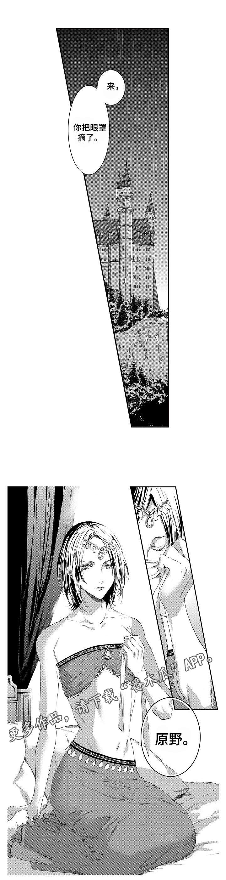 第5章：美貌8