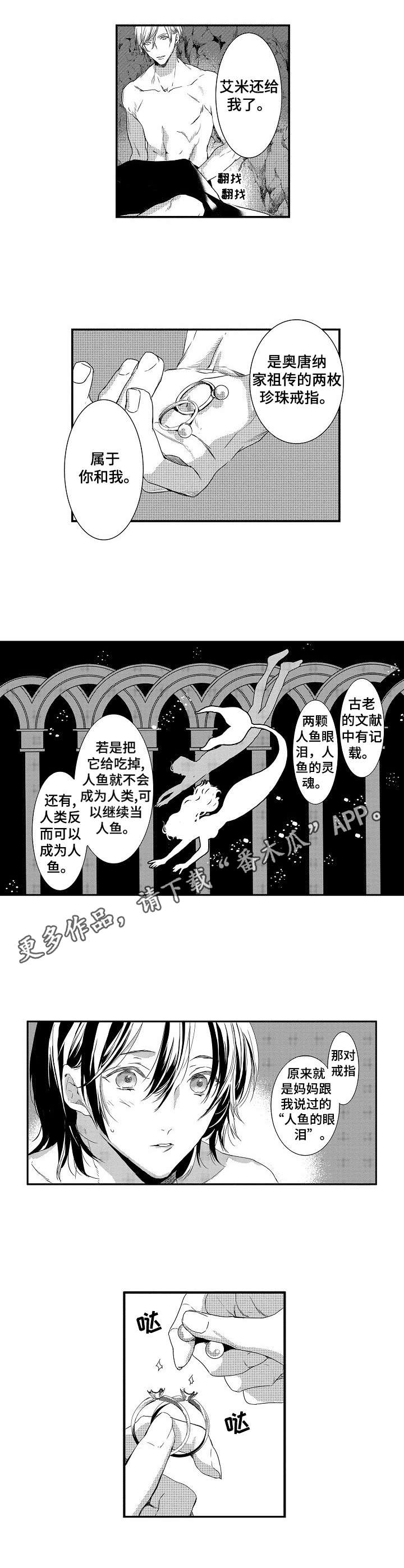 第24章：戒指6