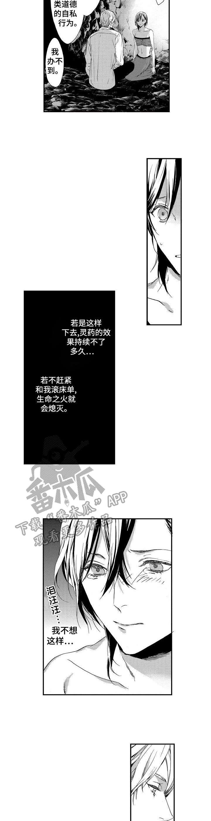 第7章：灵药7