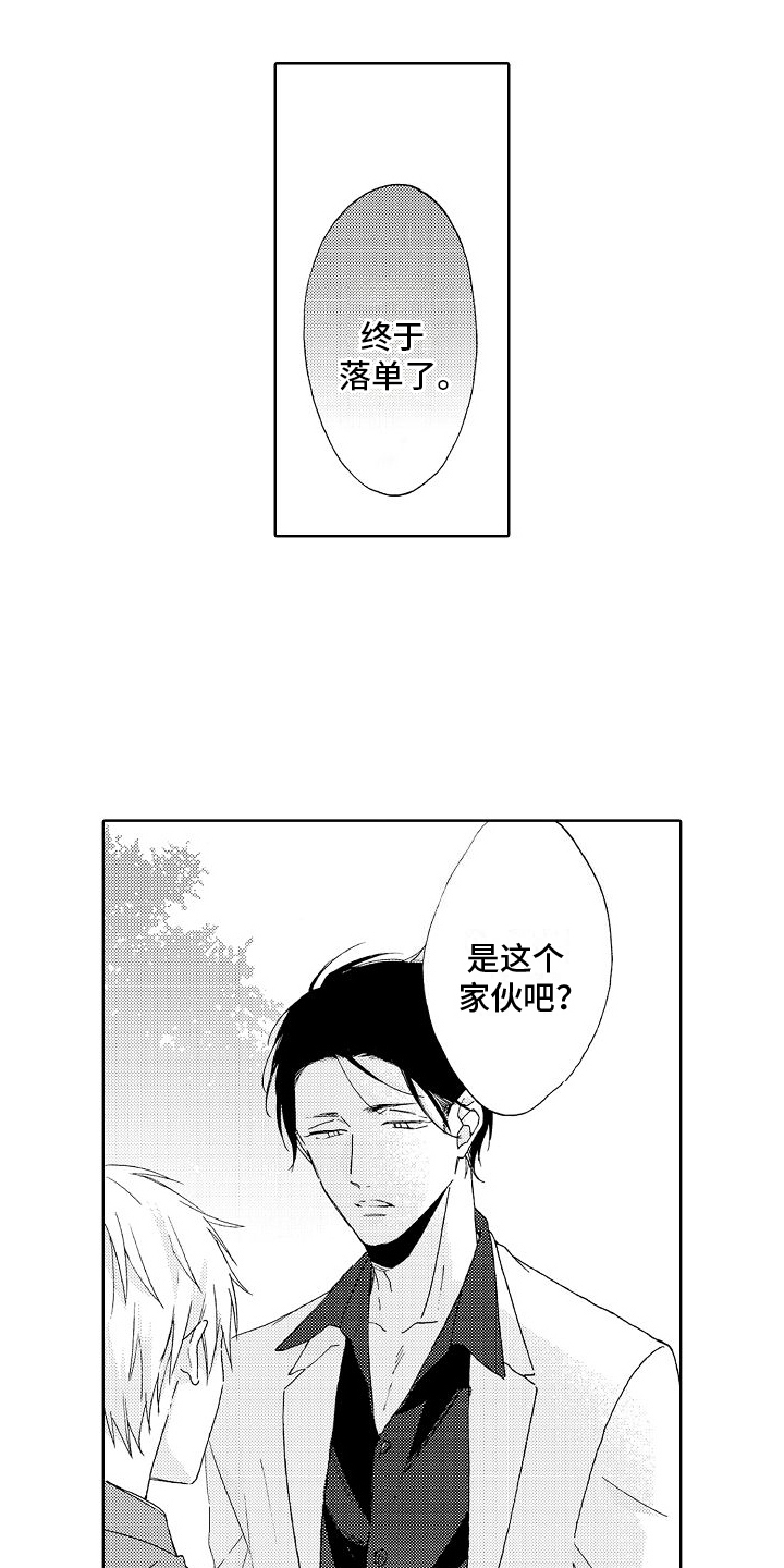 第19章：带走10