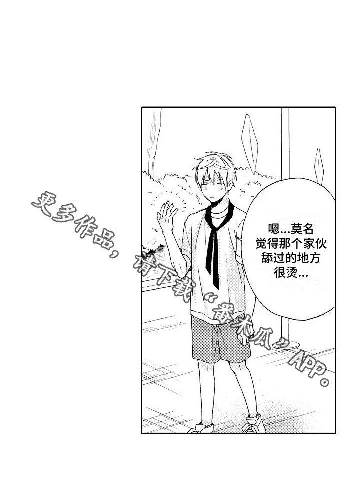 第17章：真心16