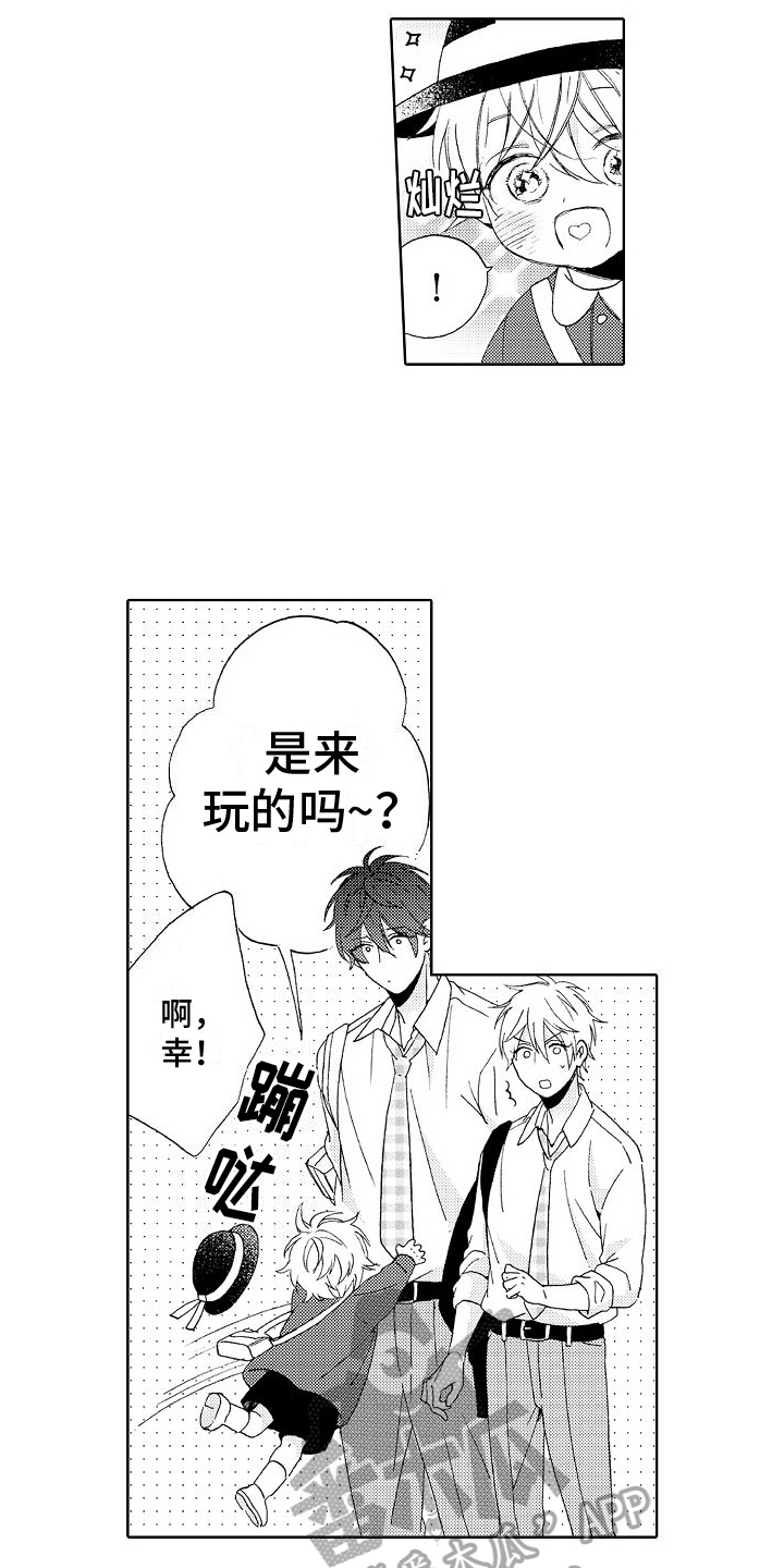第12章：建议13