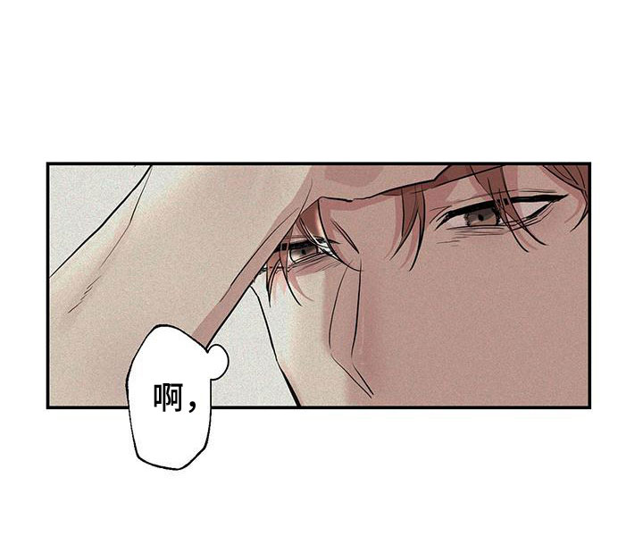 第2章：我喜欢你11