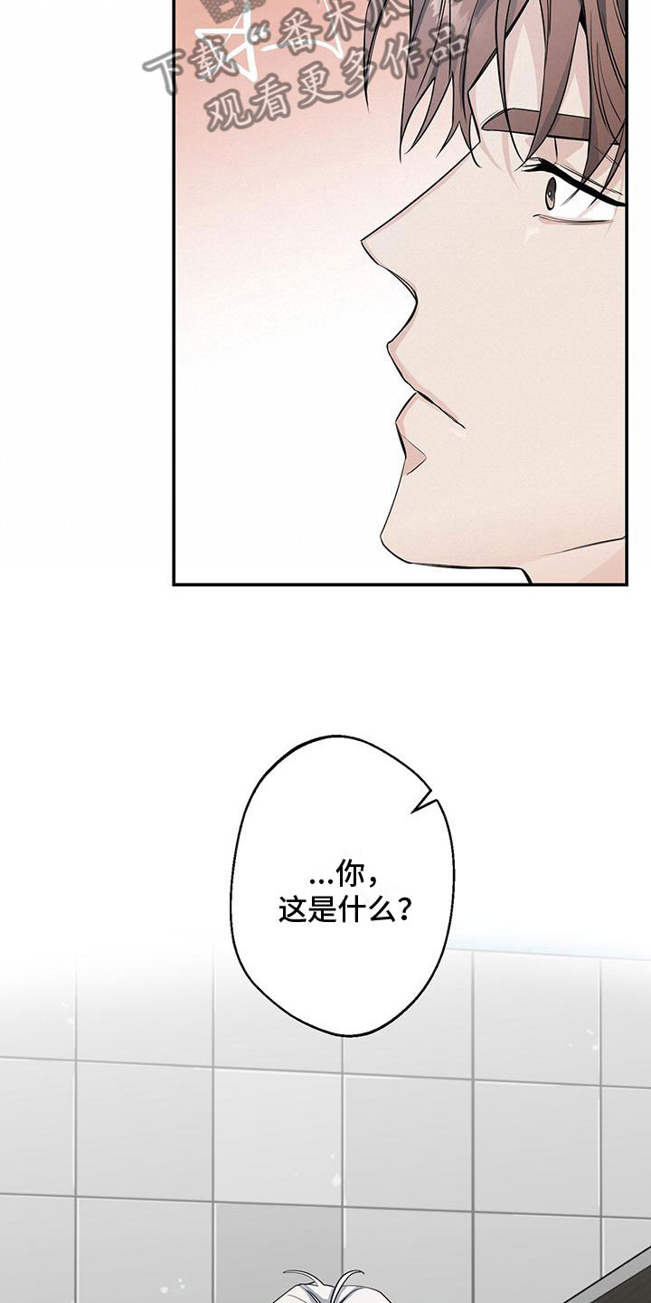 第6章：太棒了15