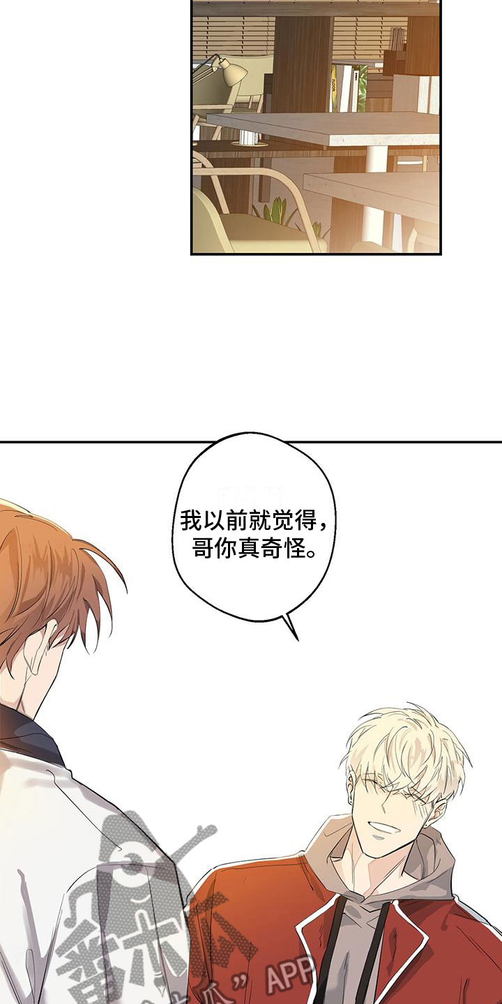 第8章：他的秘密16