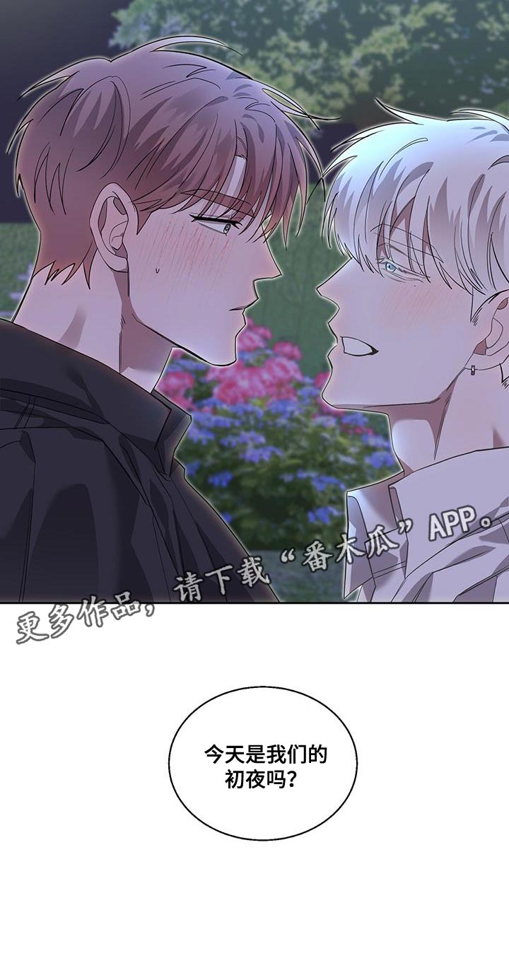 第40章：真心的24