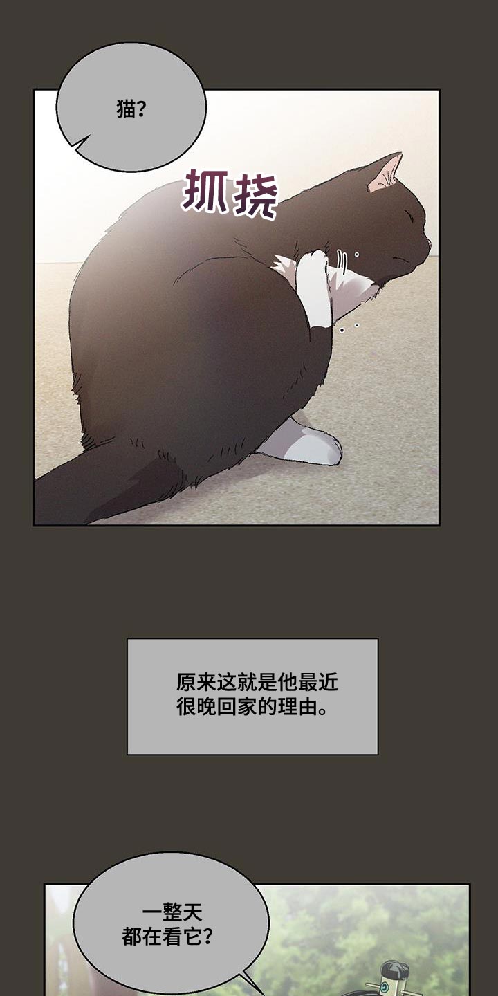 第26章：靠近11