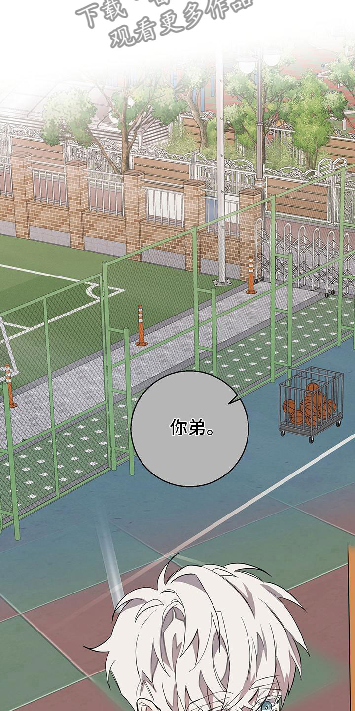第14章：黏人的小家伙20