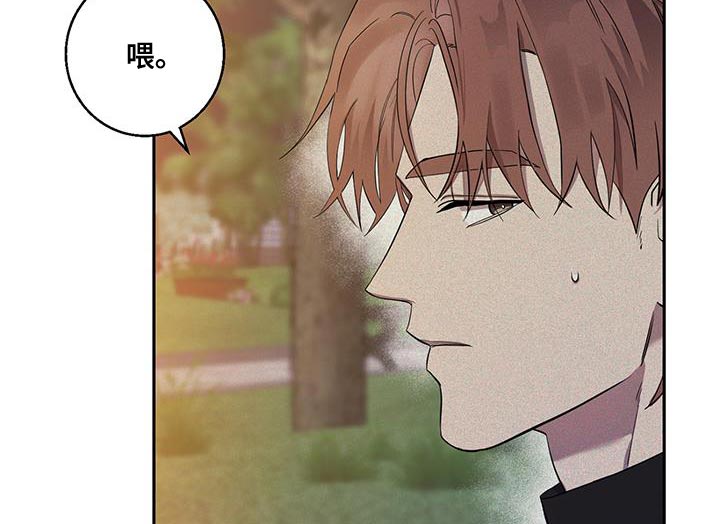 第22章：同样的想法7