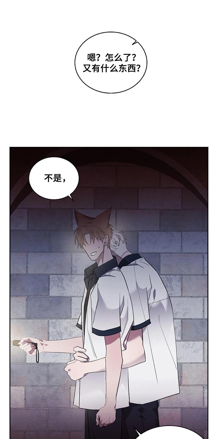 第37章：难以置信的说法3