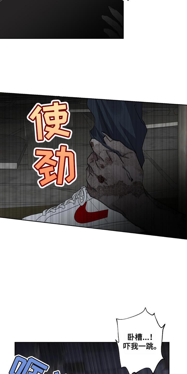 第37章：难以置信的说法17
