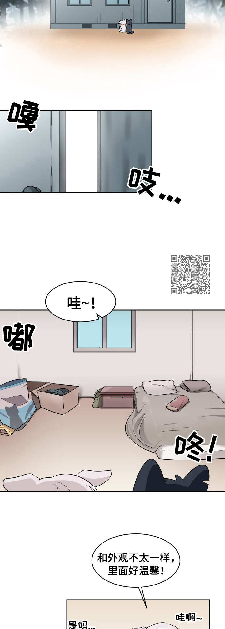 第2章：收留5